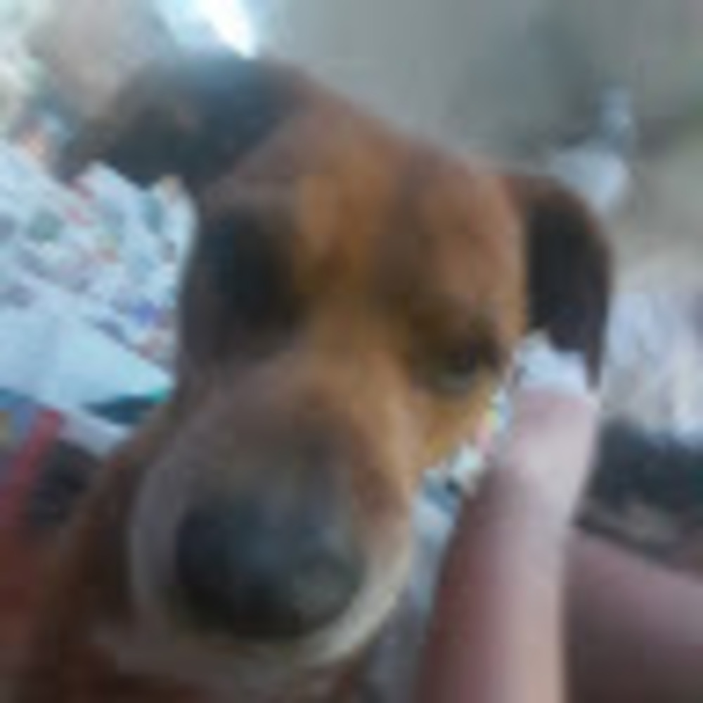 Meet your Posher, Kennedy